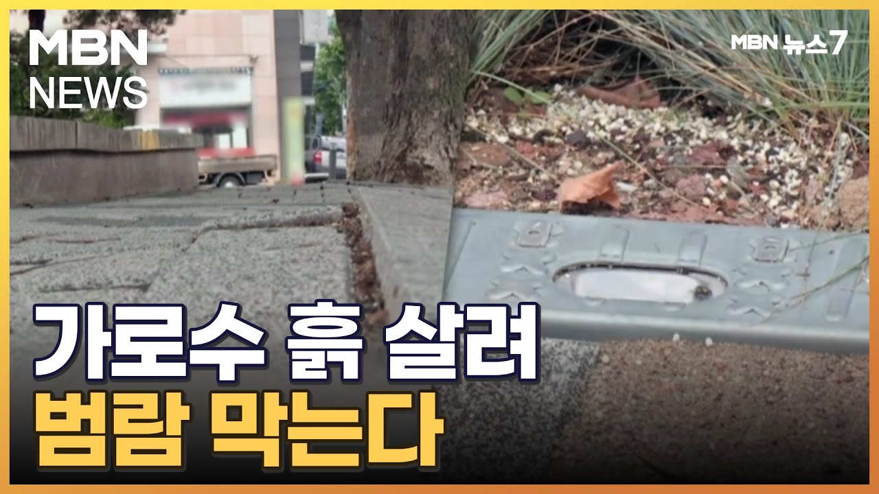 전형적인 빗물 집수 시스템은 무엇입니까? - 트레일을 탐험하다